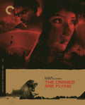 The Cranes Are Flying — Criterion Collection, Blu-ray